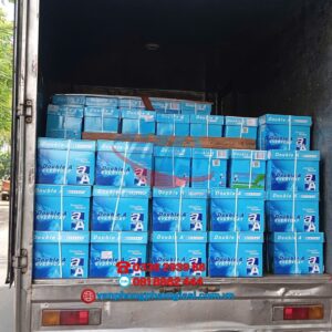 Giới thiệu Thương Hiệu Double A và Các Loại Giấy In Phổ Biến